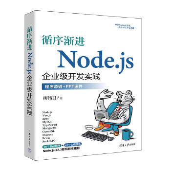 《 循序渐进Node.js企业级开发实践》[73M]百度网盘|pdf下载|亲测有效