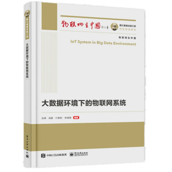 《国之重器出版工程大数据环境下的物联网系统》[60M]百度网盘|pdf下载|亲测有效