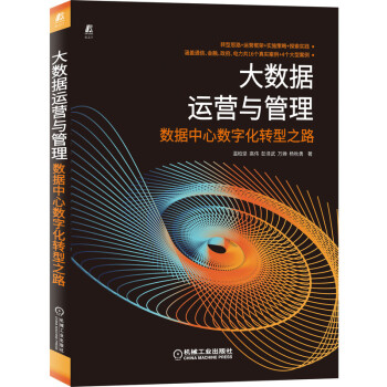 《大数据运营与管理数据中心数字化转型之路》[56M]百度网盘|pdf下载|亲测有效