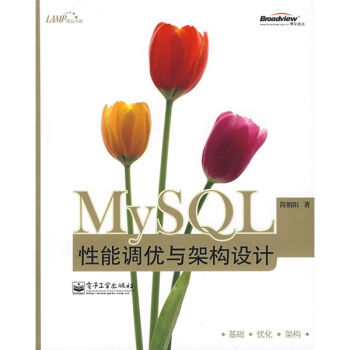 《MySQL性能调优与架构设计》[83M]百度网盘|pdf下载|亲测有效