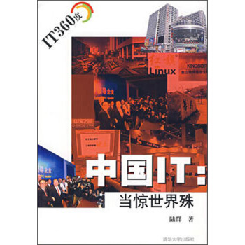 《中国IT：当惊世界殊》[46M]百度网盘|pdf下载|亲测有效