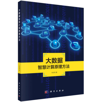 《地理信息系统理论与应用丛书：大数据智慧计算原理方法》[74M]百度网盘|pdf下载|亲测有效