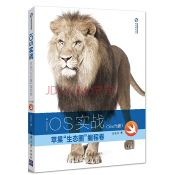 《iOS实战：苹果“生态圈”编程卷Swift版》[93M]百度网盘|pdf下载|亲测有效
