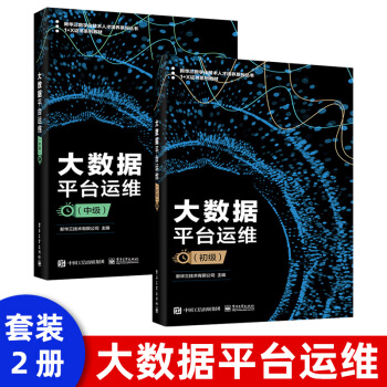 《大数据平台运维新华三技术有限公司大数据平台组件安装配置基础实施简单维护及监》[93M]百度网盘|pdf下载|亲测有效