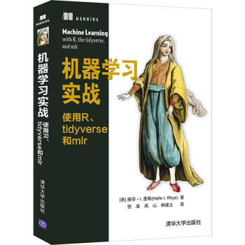 《机器学习实战：使用R、tidyverse和mlr》[41M]百度网盘|pdf下载|亲测有效