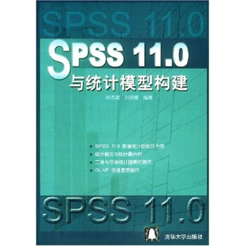 《SPSS.0与统计模型构建》[71M]百度网盘|pdf下载|亲测有效