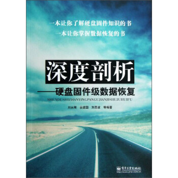 《深度剖析：硬盘固件级数据恢复》[43M]百度网盘|pdf下载|亲测有效
