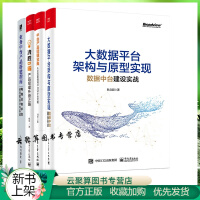 《大数据平台架构与原型实现》[63M]百度网盘|pdf下载|亲测有效