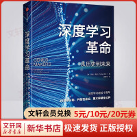 《深度学习革命从历史到未来》[52M]百度网盘|pdf下载|亲测有效