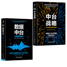 《数据中台：让数据用起来建设管理中台战略中台建设与数字商业陈新宇罗家鹰云计算企业数字化》[60M]百度网盘|pdf下载|亲测有效