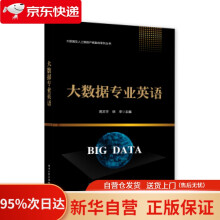 《大数据专业英语高文宇著》[84M]百度网盘|pdf下载|亲测有效