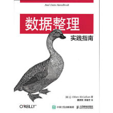 《:数据整理实践指南麦卡伦》[99M]百度网盘|pdf下载|亲测有效