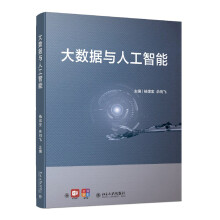 《大数据与人工智能高等院校人工智能基础规划教材杨忠宝等著》[58M]百度网盘|pdf下载|亲测有效