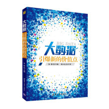 《大数据：引爆新的价值点》[87M]百度网盘|pdf下载|亲测有效