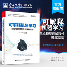 《可解释机器学习：黑盒模型可解释性理解指南克里斯托夫·莫尔纳简单可解释模型决》[83M]百度网盘|pdf下载|亲测有效