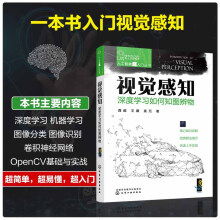 《人工智能超入门丛书--视觉感知：深度学习如何知图辨物》[88M]百度网盘|pdf下载|亲测有效