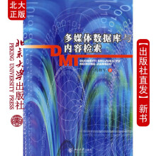 《北大多媒体数据库与内容检索》[65M]百度网盘|pdf下载|亲测有效