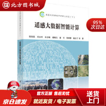 《遥感大数据智能计算骆剑承等科学北方城》[82M]百度网盘|pdf下载|亲测有效