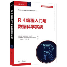 《R4编程入门与数据科学实战》[95M]百度网盘|pdf下载|亲测有效