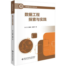《数据工程探索与实践》[87M]百度网盘|pdf下载|亲测有效