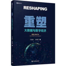 《重塑大数据与数字经济刁生富,冯利茹书籍》[77M]百度网盘|pdf下载|亲测有效