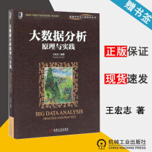 《大数据分析原理与实践王宏志数据科学与工程技术丛书机械工业》[84M]百度网盘|pdf下载|亲测有效