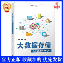 《新书大数据存储从SQL到NoSQL柳俊大数据存储非关系型数据库NoS》[64M]百度网盘|pdf下载|亲测有效