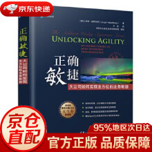 《正确敏捷：大公司如何实现全方位的业务敏捷尤里根·赫斯伯格(JorgenHesselberg》[58M]百度网盘|pdf下载|亲测有效