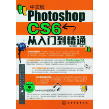 《中文版PhotoshopCS6从入门到精通》[40M]百度网盘|pdf下载|亲测有效