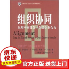 《IT风险组织协同》[51M]百度网盘|pdf下载|亲测有效