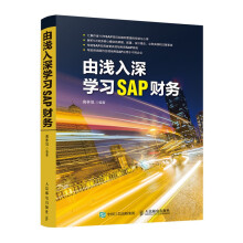 《由浅入深学习SAP财务SAP系统财务分析ERP系统会计资产订单获利分析年SAP项目实施和管理经验分享》[80M]百度网盘|pdf下载|亲测有效