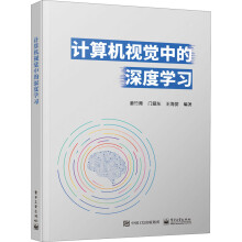 《计算机视觉中的深度学习姜竹青,门爱东,王海婴编书籍》[91M]百度网盘|pdf下载|亲测有效