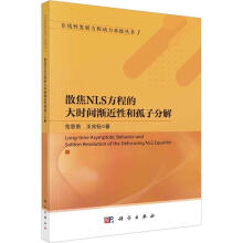 《散焦NLS方程的大时间渐近性和孤子分解范恩贵科学科学与自然书籍》[47M]百度网盘|pdf下载|亲测有效