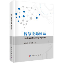 《智慧能源体系童光毅等智慧能源体系概论丛书》[88M]百度网盘|pdf下载|亲测有效