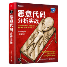 《恶意代码分析实战》[82M]百度网盘|pdf下载|亲测有效
