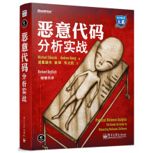 《可选计算机与互联网恶意代码分析实战》[74M]百度网盘|pdf下载|亲测有效