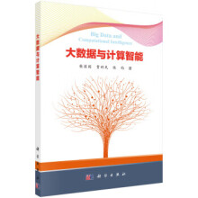 《大数据与计算智能》[52M]百度网盘|pdf下载|亲测有效