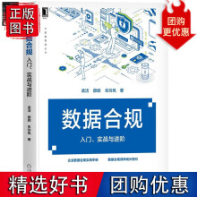 《数据合规：入门、实战与进阶孟洁薛颖朱玲凤》[92M]百度网盘|pdf下载|亲测有效
