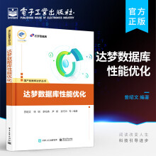 《官方达梦数据库性能优化达梦数据库书籍DM8体系架构运行机制实例优化DM8性能核心问题DM8调优诊断工具曾昭文著》[78M]百度网盘|pdf下载|亲测有效