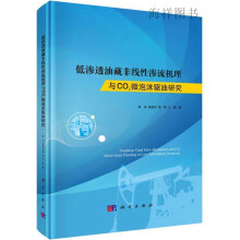 《低渗透油藏非线性渗流机理与CO2微泡沫驱油研究,郭肖著,科学,》[47M]百度网盘|pdf下载|亲测有效
