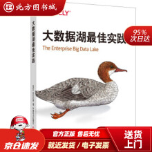 《大数据湖佳实践Alex,Gorelik中国电力北方城》[57M]百度网盘|pdf下载|亲测有效