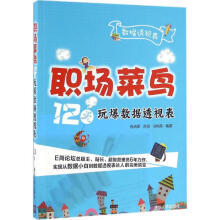 《:职场菜鸟天玩爆数据透视表：》[79M]百度网盘|pdf下载|亲测有效