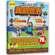 《我的世界:建筑进阶指南条》[76M]百度网盘|pdf下载|亲测有效