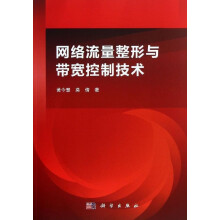 《网络流量整形与带宽控制技术》[58M]百度网盘|pdf下载|亲测有效
