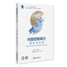 《内部控制审计》[66M]百度网盘|pdf下载|亲测有效