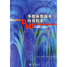 《书籍多媒体数据库与内容检索马修军北京》[84M]百度网盘|pdf下载|亲测有效