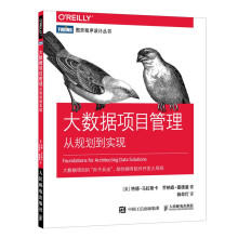 《大数据项目管理从规划到实现图灵程序设计丛书大数据开发管理实战大数据项目的孙子》[66M]百度网盘|pdf下载|亲测有效