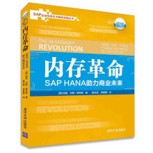 《内存革命:SAPHANA助力商业未来》[72M]百度网盘|pdf下载|亲测有效