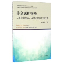 《非金属矿物基二氧化钛制备、改性及废水处理技术》[65M]百度网盘|pdf下载|亲测有效