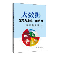 《大数据在电力企业中的应用》[97M]百度网盘|pdf下载|亲测有效